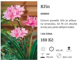Starkl Křín nabídka