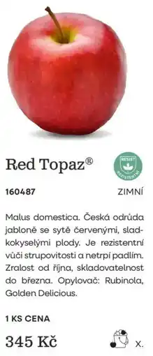 Starkl Red Topaz nabídka