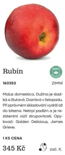 Starkl Rubín nabídka