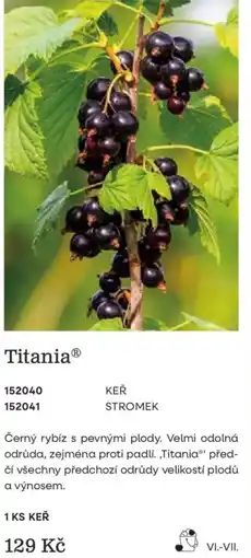 Starkl Titania nabídka