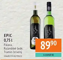 Coop hb Epic Pálava, Rulandské Šedé, Tramín červený nabídka