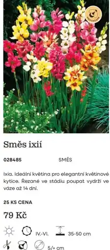 Starkl Směs ixií nabídka