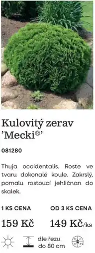 Starkl Kulovitý zerav Mecki nabídka