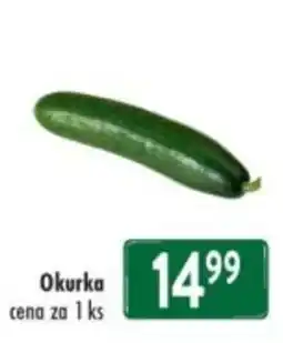 Qanto Okurka nabídka