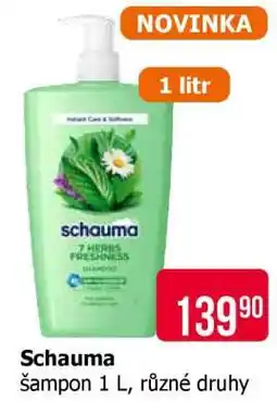 Teta Schauma nabídka