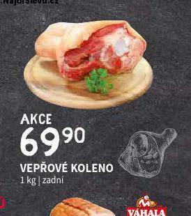 Terno Vepřové koleno nabídka