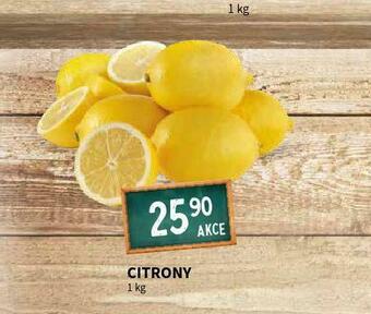 Terno Citrony nabídka