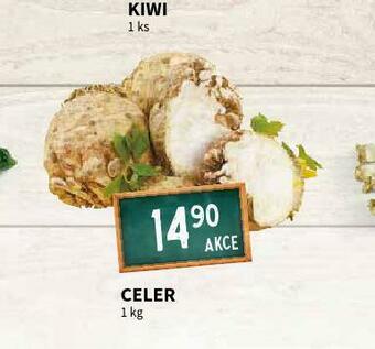 Terno Celer nabídka