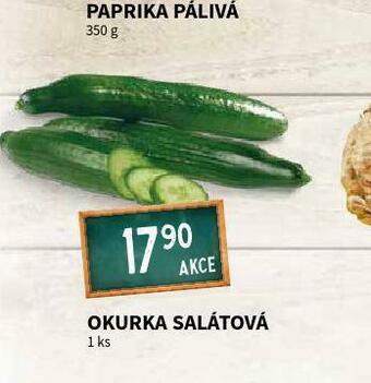 Terno Okurka salátová nabídka