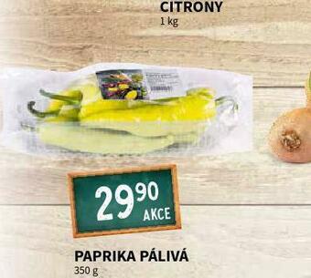 Terno Paprika pálivá nabídka