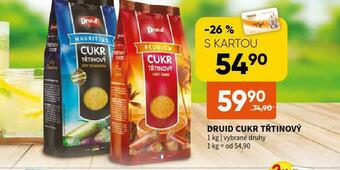 Terno Druid cukr třtinový nabídka