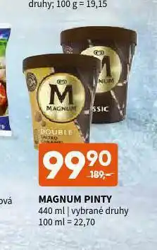 Terno Magnum pinty nabídka