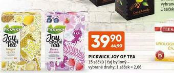 Terno Pickwick joy of tea nabídka