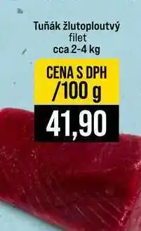 Jip Tuňák žlutoploutvý filet cca 2-4 kg 100g nabídka