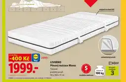 Lidl LIVARNO Pěnová matrace Waves nabídka
