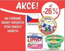 Globus Madeta tavené sýry nabídka
