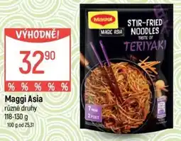 Globus Maggi Asia nabídka