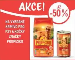 Globus Propesko nabídka