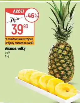 Globus Ananas velký nabídka