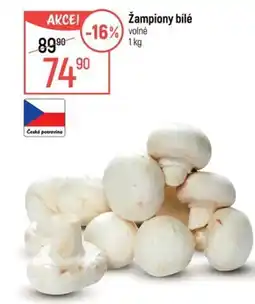 Globus Žampiony bílé nabídka