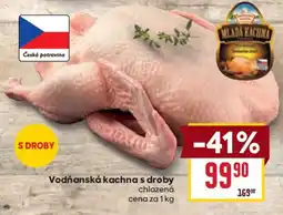 Billa Mladá kachna vodňanská s droby nabídka