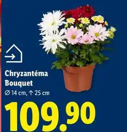 Lidl Chryzantéma Bouquet nabídka