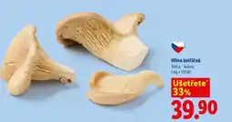 Lidl Hlíva ústřičná nabídka