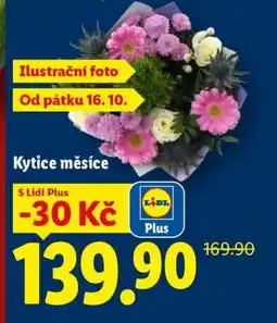 Lidl KYTICE MĚSÍCE nabídka