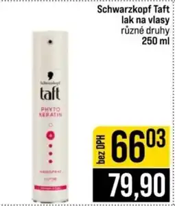 Jip Schwarzkopf Taft nabídka