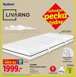 Lidl LIVARNO Pěnová matrace Waves nabídka