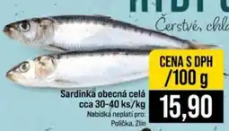 Jip Sardinka obecná celá nabídka