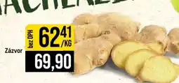 Jip Zázvor nabídka