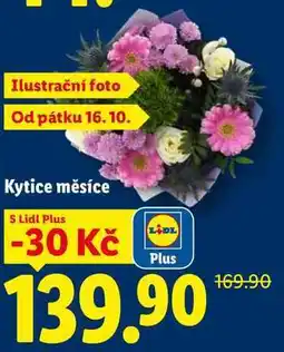Lidl Kytice měsíce nabídka