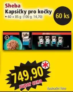 Norma Sheba kapsičky pro kočky nabídka