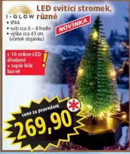 Norma i-glow LED svítící stromek nabídka