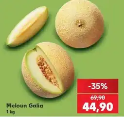Kaufland Meloun Galia nabídka
