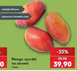 Kaufland Mango vyzrálé na stromě nabídka
