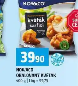 Terno NOWACO OBALOVANÝ KVĚTÁK nabídka