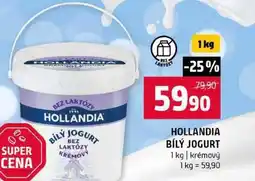 Terno HOLLANDIA BÍLÝ JOGURT 1 kg krémový nabídka