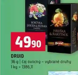 Terno DRUID 36 g čaj ovocný vybrané druhy nabídka
