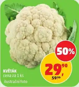 Penny Market květák nabídka