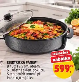 Penny Market Elektrická pánev nabídka
