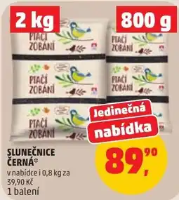 Penny Market Slunečnice černá nabídka