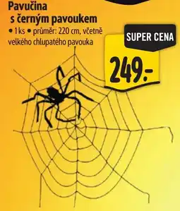 Albert Pavučina s černým pavoukem nabídka