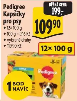 Albert Pedigree kapsičky pro psy nabídka