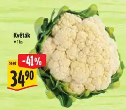 Albert Květák nabídka