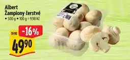Albert Albert Žampiony čerstvé nabídka