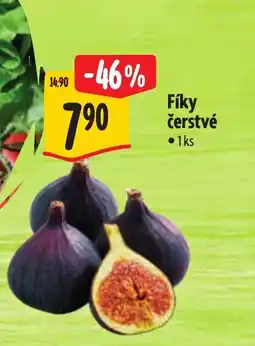Albert Fíky čerstvé nabídka