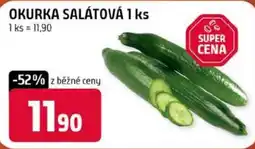 Trefa Okurka salátová nabídka