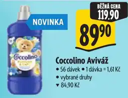 Albert Coccolino Aviváž nabídka
